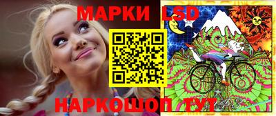 дмт Краснодар