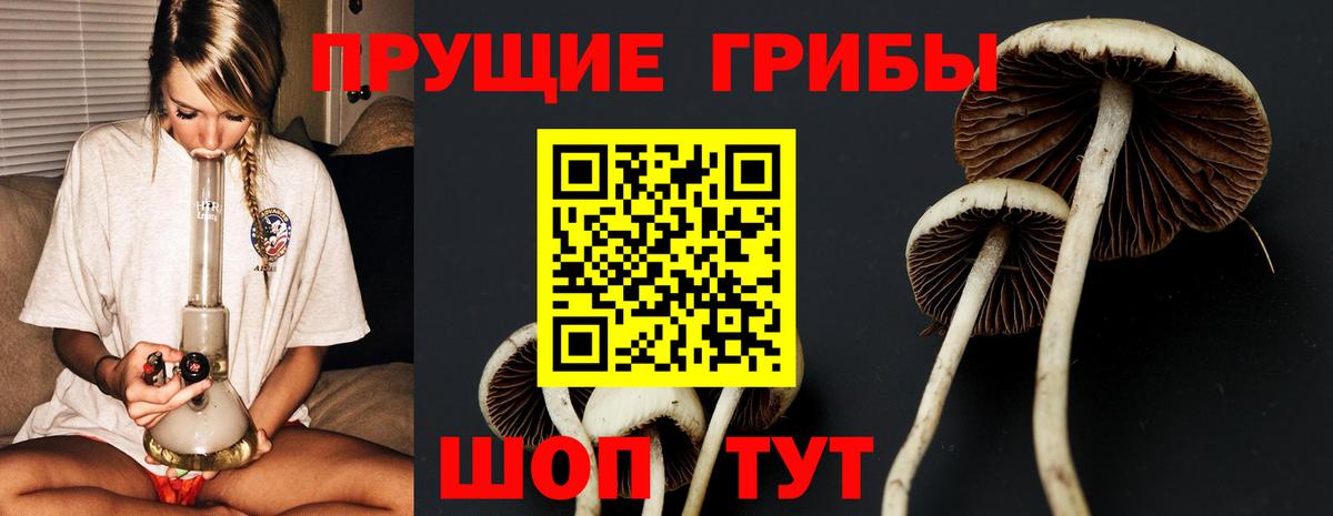 Галлюциногенные грибы мицелий Карпинск